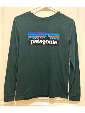 Patagonia Boys XL 14 Long Sleeve T Shirt Green P-6 Logo Fitz Roy Outdoor Kids
